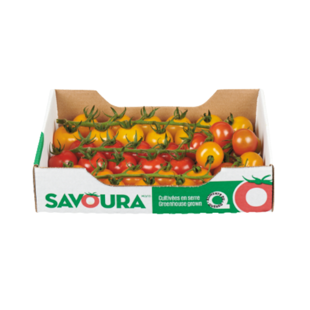 Cherry Tomatoes 227 g - Tomato | Mayrand